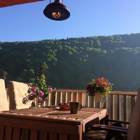 Apartment Miro Sinaia